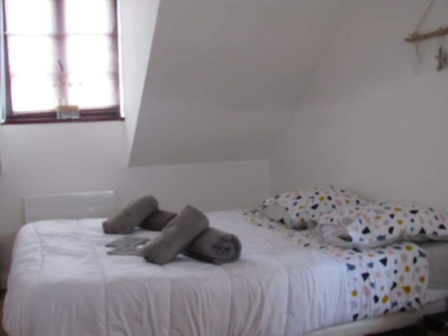Le Clos De Beauchamps L'entre 2 Baies Accueil Velo Apartment Saint-Valery-sur-Somme